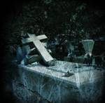 Blood (JAP) : Vengeance for Blood - Live in Mexico